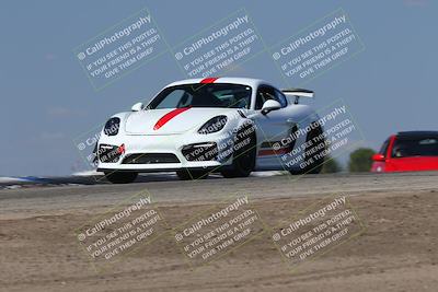 media/Oct-04-2025-OnGrid (Sat) [[44bd565ffa]]/Green Group/Grapevine/